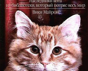 Тори майрон не пара читать полностью. Девять жизней Дьюи» в. Майрон. Дьюи. Кот из библиотеки, который потряс весь мир Вики Майрон книга. Книга про кота Дьюи. Библиотечный кот Дьюи Вики Майрон.