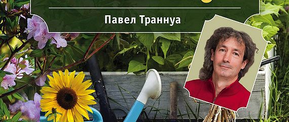 павел траннуа